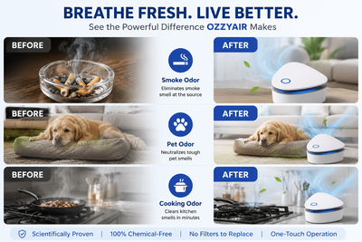 An infographic comparison graphic for the OZZYAIR pet odor remover, showing 'Before' and 'After' results in six panels. The panels demonstrate the device's ability to eliminate smoke odor, neutralize pet odor, and clear cooking odors, with the OZZYAIR device pictured in white and blue on a gray background.