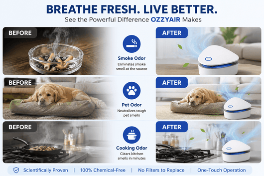 Infographic showing before and after images of smoke, pet, and cooking odors eliminated by ozone purifier, with blue and white design