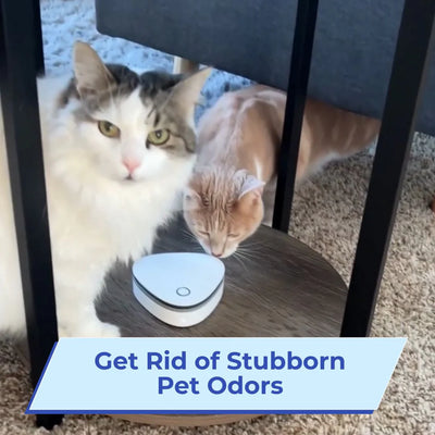 Ozzy/ Eliminate Smoke, Pet & Kitchen Odors in 1-Click